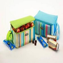 Picnic cooler  bags